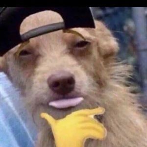 Meet your Posher, Madisen